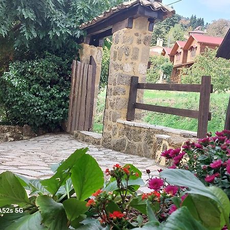 Вилла Εν Αρχή - En Arhi Ано-Трикала Экстерьер фото